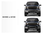 Armordillo 2015-2020 Ford F-150 AR Pre-Runner Guard - Matte Black - Bayson R Motorsports