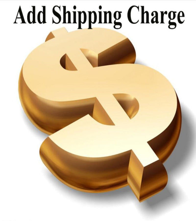 Shipping Charge - Bayson R Motorsports