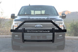 Armordillo 2015-2020 Ford F-150 AR2 Pre-Runner Guard - Matte Black - Bayson R Motorsports