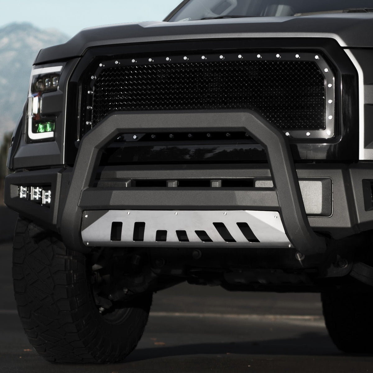 Armordillo 2008-2009 Dodge Ram 4500/5500 AR Series Bull Bar - Matte Bl ...