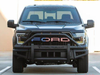 Armordillo 2015-2020 Ford F-150 AR Pre-Runner Guard - Matte Black - Bayson R Motorsports